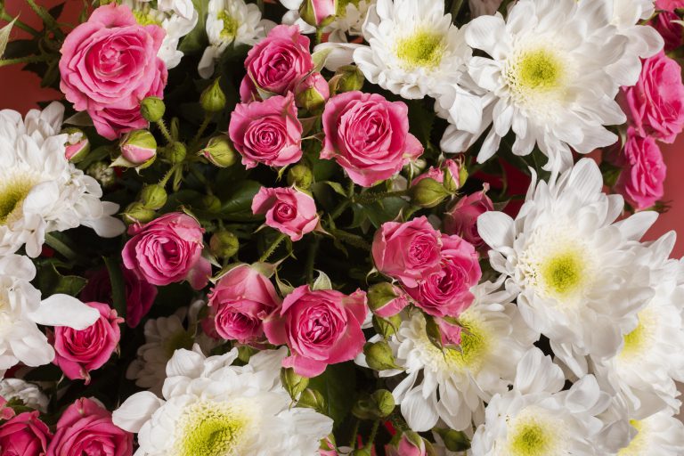 Read more about the article Lorem Ipsum Is #3